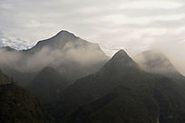 �ƹ�����