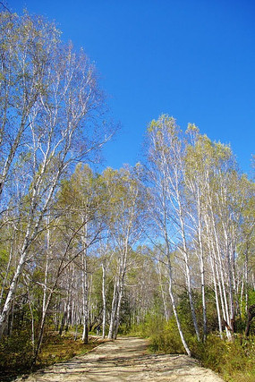 ����İ�����