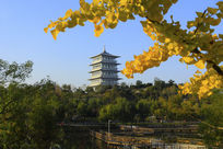 ����԰����