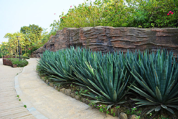 ����԰��������