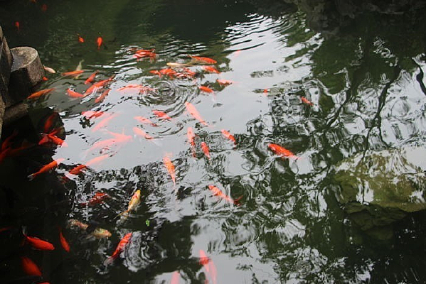 ���е�����