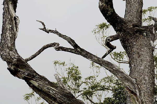 ����ǧ���������������