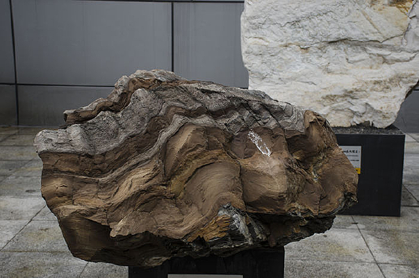 ����ʯӢƬ��