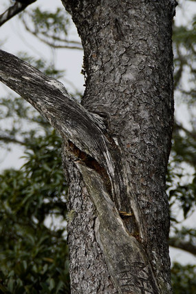 ǧ���������������