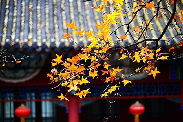 �Ž�����