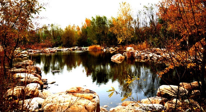 ����������Ӱ