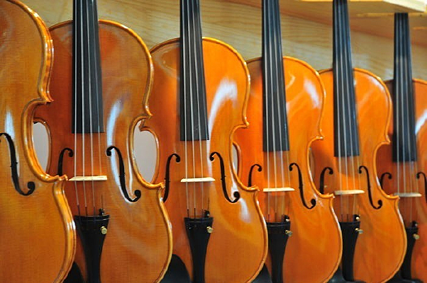 �ڷ������С����