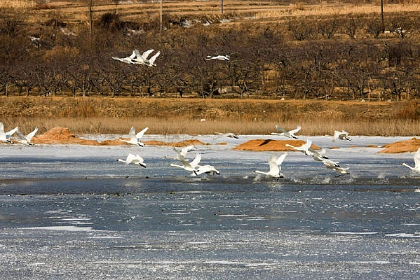 ���Խ����