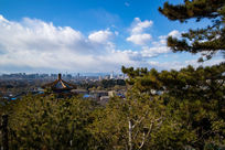 ��ɽԶ������