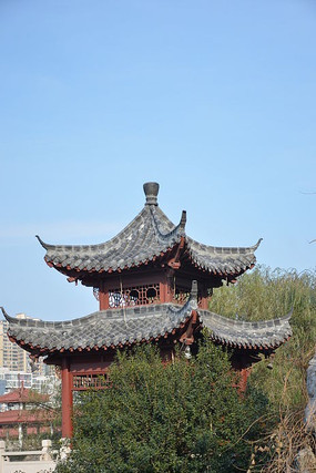 �����µ�����