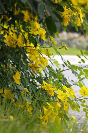 ·�߽����ʻ���С��