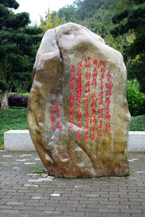 ɽ��������