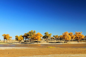 �������������