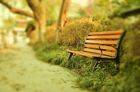 ���ĳ���