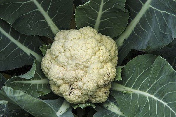 �˵���Ļ���