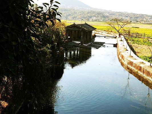 ��˳����