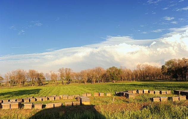 ��ԭ������