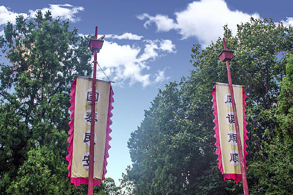 �Ŵ�����