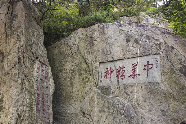 �л�����