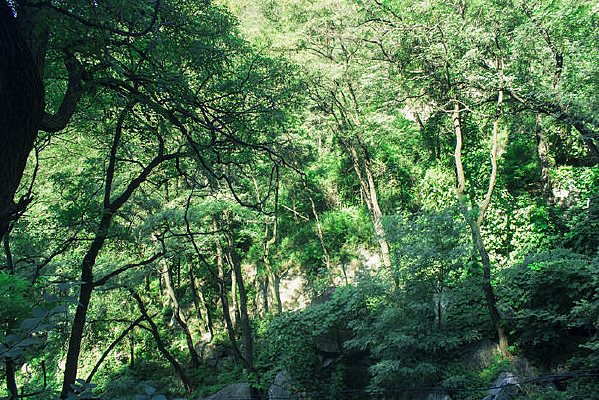 �����ս�����