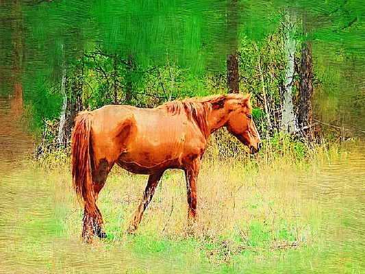 �����ͻ�����������