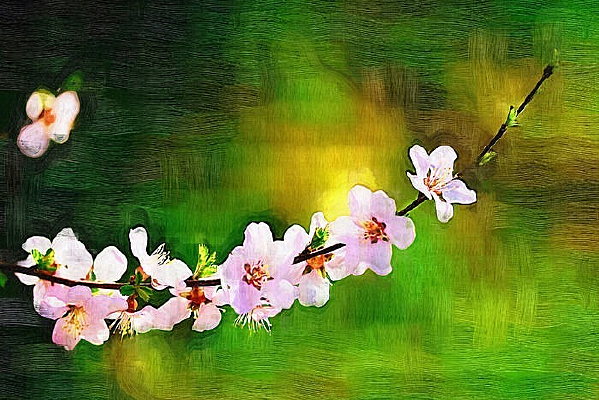 �����ͻ���С�Һ졷