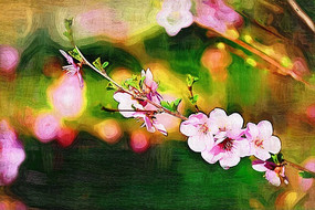 �����ͻ�����Ҷ÷��