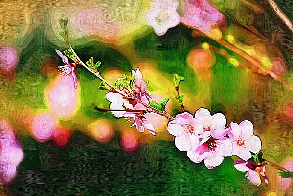 �����ͻ�����Ҷ÷��