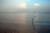 �����ĺ���