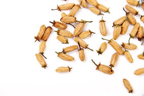 ���黨��ҩ��ͼƬ