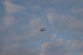 ���������һֻ�ɻ�