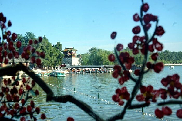 ÷����������