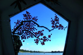 ÷�����ú�԰