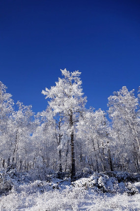 ������ڡ