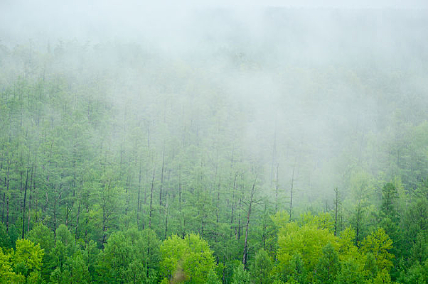 �ּ������