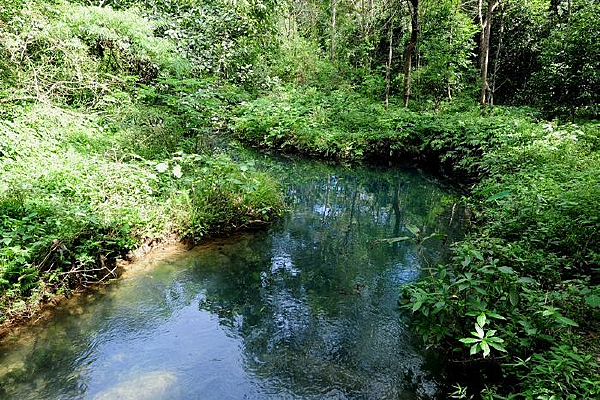 ����С��