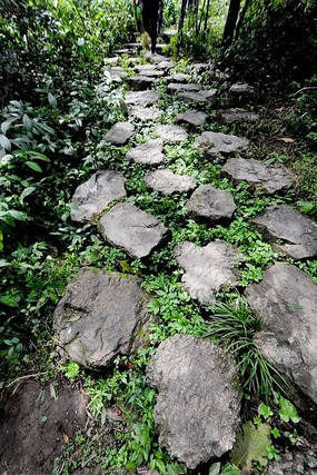 ����С��