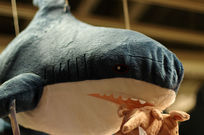 ��ͯ��߾���