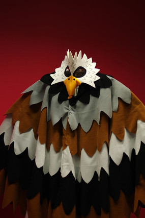 ӥ���ͷ��η�װ