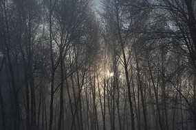 ��סϦ��������