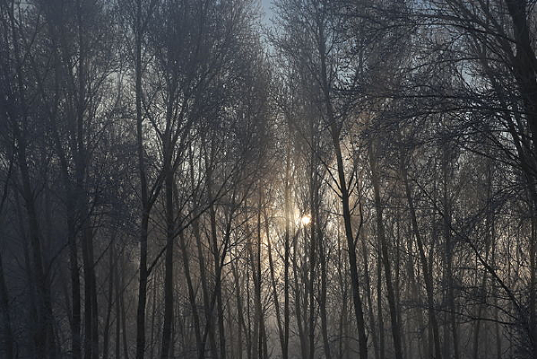 ��סϦ��������