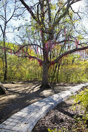 �����������������