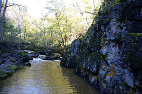 é�������