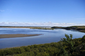 ����ʪ��