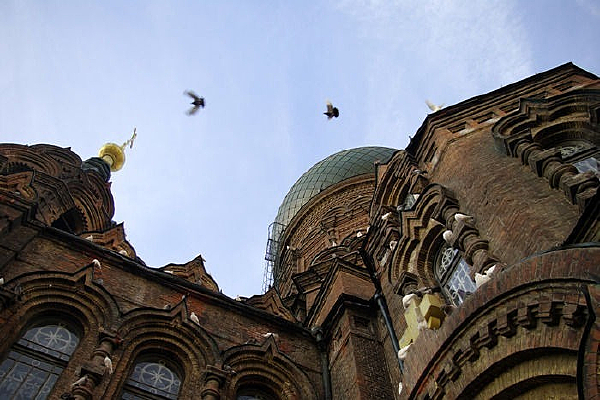 �����ڽ����Ͽյİ׸�