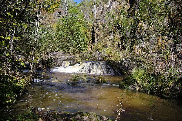 ɭ�ֹ�԰��ɫ