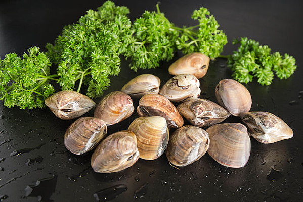 ����ɳ��