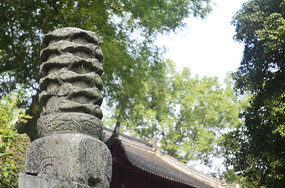 ʯ�����ݶ�