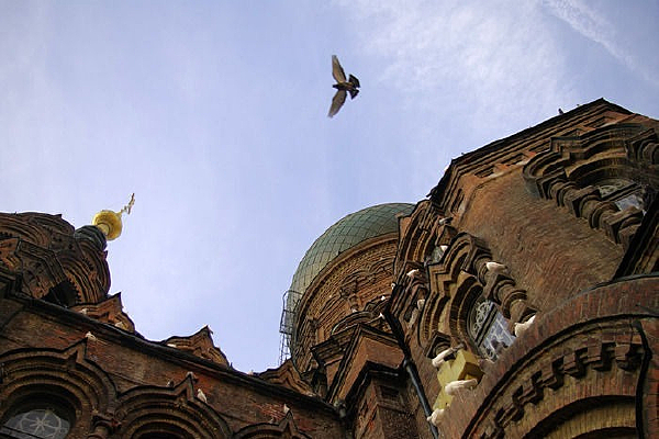 �����ǽ��úͰ׸�