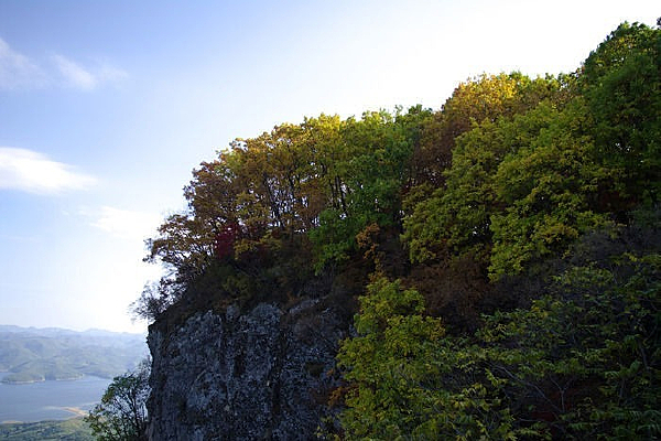 ��Ůɽɽ����ɫֲ��